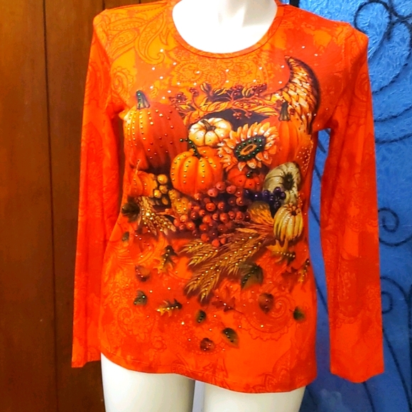 Gloria Vanderbilt Tops - Gloria Vanderbilt Fall Shirt